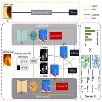 Semi-Supervised Medical Image Segmentation with Co-Distribution Alignment