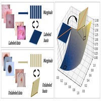 Class-Specific Distribution Alignment for Semi-Supervised Medical Image Classification