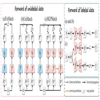 Revisiting Network Perturbation for Semi-Supervised Semantic Segmentation